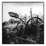 Plow - County Clare, Ireland from the series The Irish Landscape