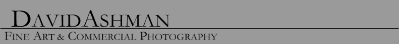 Black White Photography Portrait, Maryland Portrait Photographers - David Ashman serving DC, MD, and Virginia VA