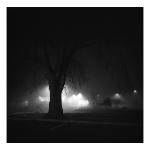 IX, 2006 - from the series Annapolis Fog: Evening Backdrop
