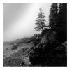 On the Edge - from the series The Maine Landscape