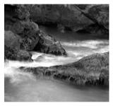 Surf and Rocks - Point Lobos, California