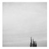 Unexpected Growth #4 - Arcadia, California, from the series Unexpected Growth