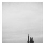 Unexpected Growth #4 - Arcadia, California, from the series Unexpected Growth